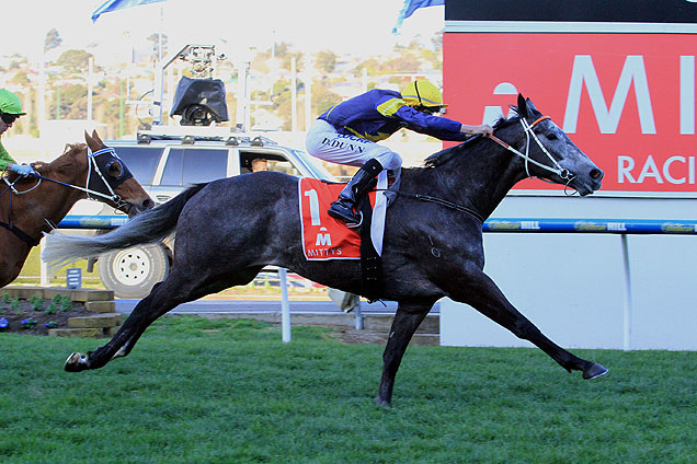Chautauqua has improved ahead of his second spring run in the Gilgai Stakes at Flemington on Sunday.