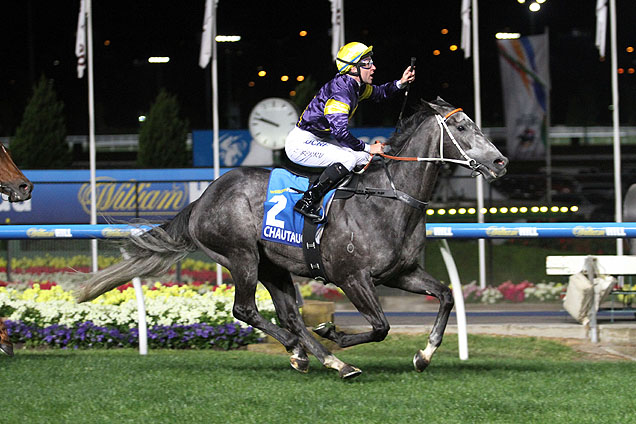 A half brother to sprint star Chautauqua (pictured) won a Rosehill barrier trial on Tuesday.