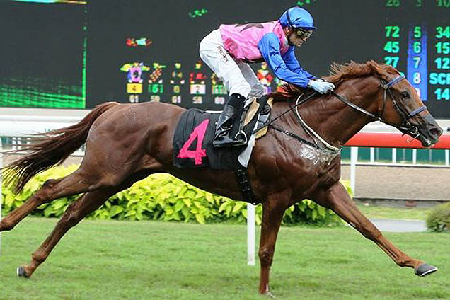 City Of Kirkwall winning the ABUNDANCE STAKES KRANJI STAKES D