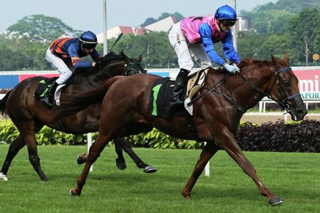 City Of Kirkwall winning the LIM'S OBJECTIVE 2007 STAKES KRANJI STAKES D