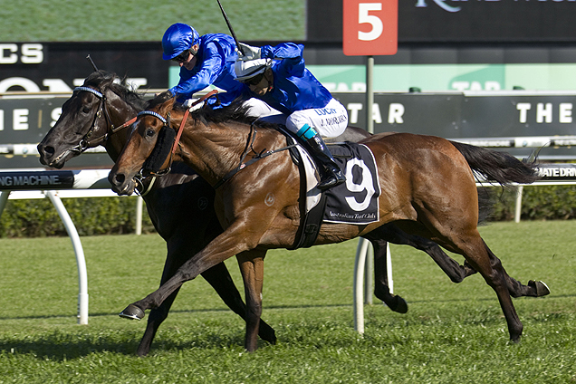 Complacent winning the Outdoor Craven Plate