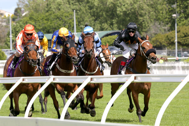 Consensus winning the Sofitel Luxury Hotels Stakes.from left to right, Vavasour, Spoke To Carlo, Soriano, Consensus.