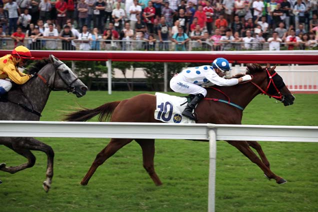 Contentment winning the THE CELEBRATION CUP (HANDICAP)