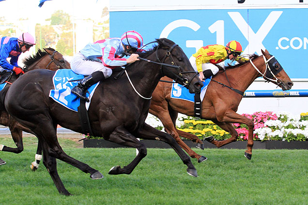 Coronation Shallan winning the G1x.Com.Au Stakes