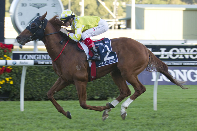 Criterion winning the Queen Elizabeth Stakes