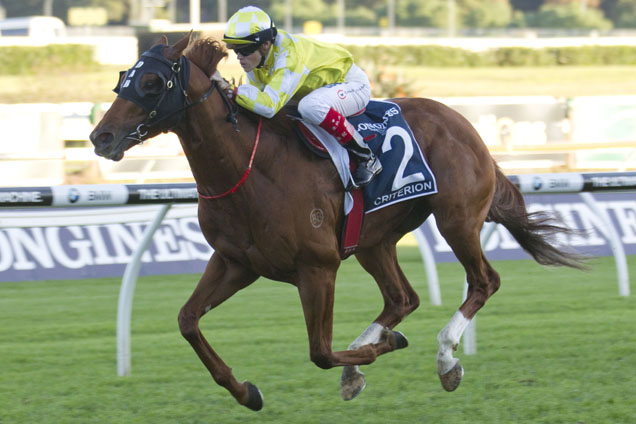 Criterion runs in the 2016 Ranvet Stakes.