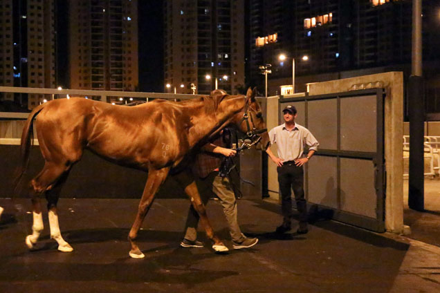 Criterion arrives to racecourse.