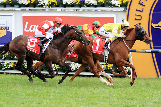 Criterion wins the Caulfield Stakes