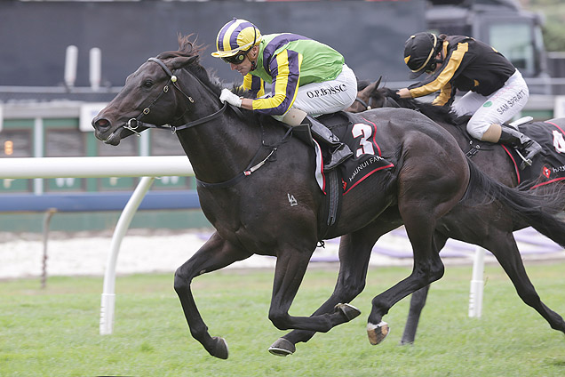 Dal Cielo winning the Haunui Farm Diamond Stakes