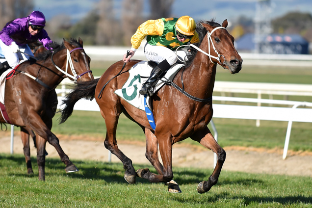 Danza Lad winning the Merial Ancare Metric Mile