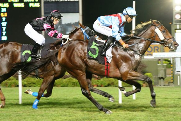 Darci Charmer winning the OPEN BENCHMARK 83