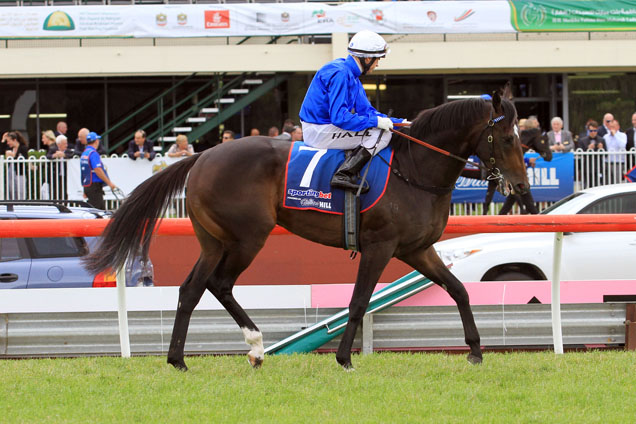 Demonstrate can win at Sandown