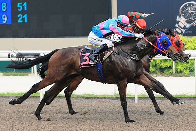 Desert Fox winning the BETTER THAN EVER 2010 STAKES KRANJI STAKES C