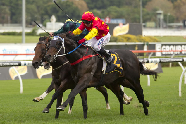 Dissident wins the All Aged Stakes