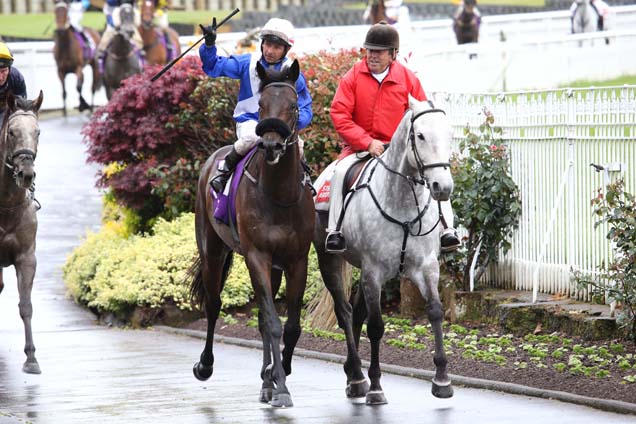 Dragon Dancer parading after winning Bishop Browne (Bm65) on 24 Oct, 2015