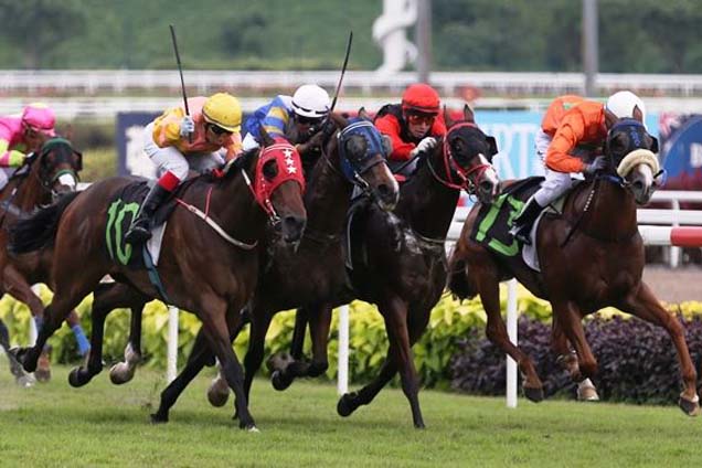 Dynasty Knight (third from the rails) winning the CLASS 5