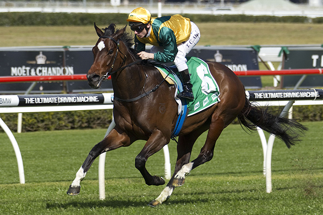 Echo Gal chases her first stakes victory in Saturday's Toy Show Quality at Randwick.