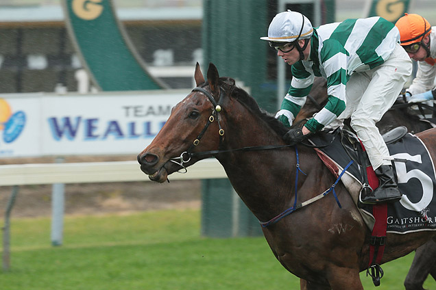 Eletist winning the Gilmours Tauranga 3yo