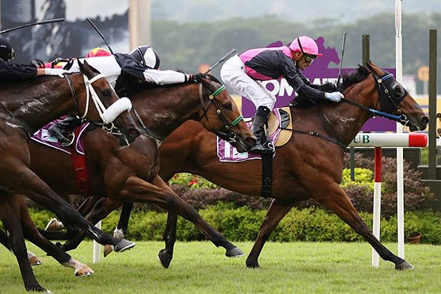 Emperor Max winning the GARDEN CITY TROPHY