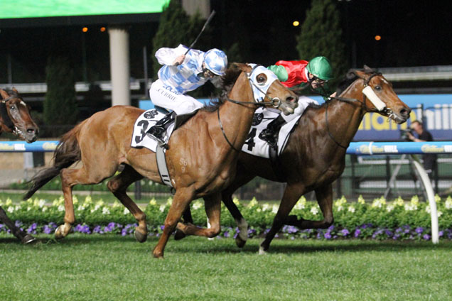 Escado winning the The Cup Club Jra Cup