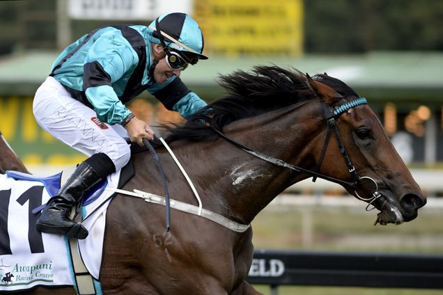 Exquisite Jewel winning the Higgins Manawatu Classic