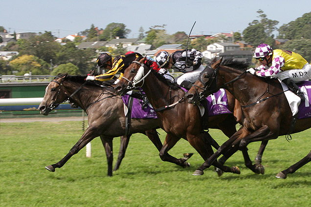 Farm Boy (black & gold) winning the Go Racing Synd. Avondale Cup.