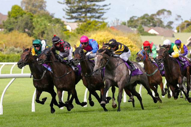 Farm Boy(the gray) wide at turn,winning the Avondale Cup