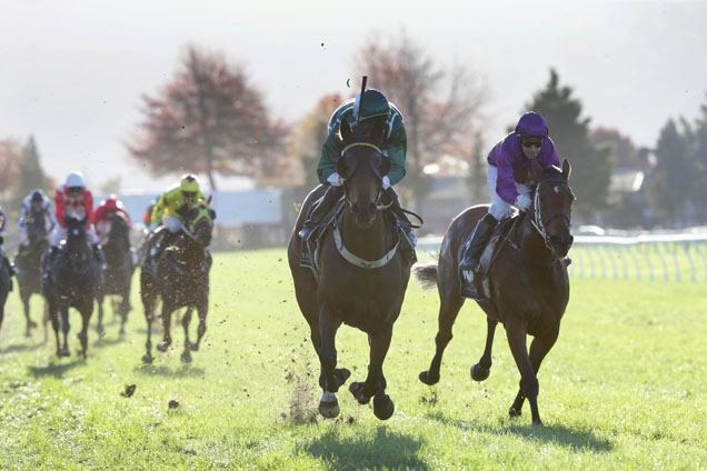 Fascination Street winning the Windsor Park Stud Rotorua Stks