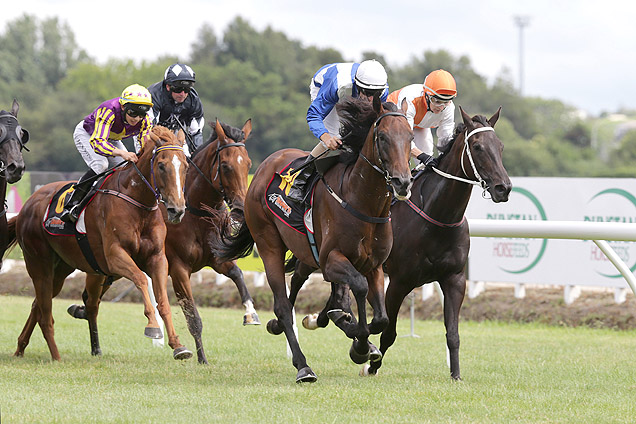 Fast Dragon winning the Hamilton Party Hire Hcp