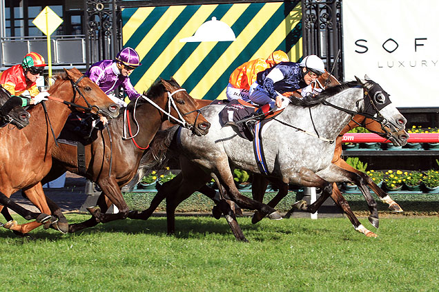 Fawkner winning the Makybe Diva Stakes Fawkner winning the Makybe Diva Stakes
