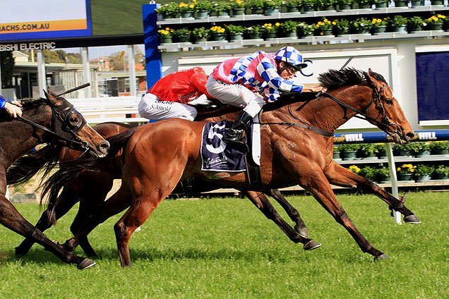 Fell Swoop winning the Testa Rossa Stakes