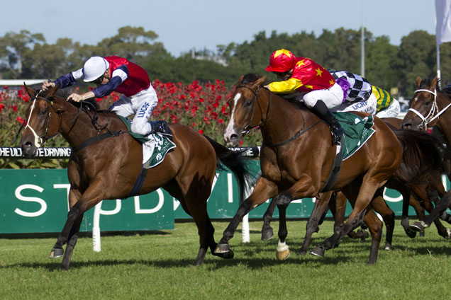 Fenway winning the Vinery Stud Stakes