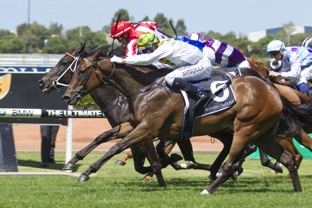 Fireworks winning the Widden Stakes