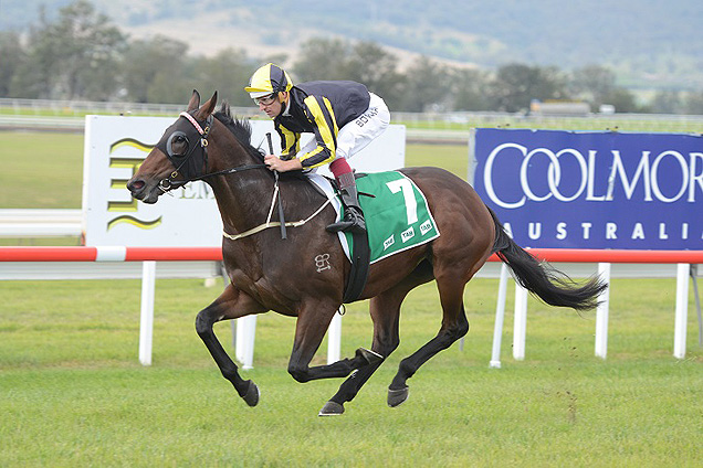 Flippant won a Randwick barrier trial on her way to the Magic Millions Guineas.