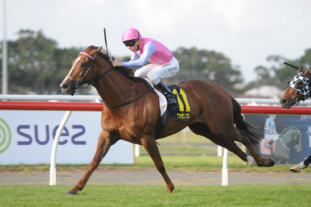 Forget could be an improver at Canterbury