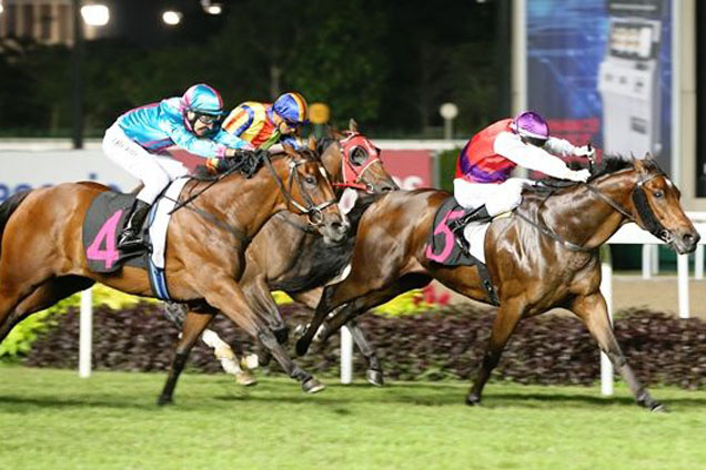 Ride Of Valkyries (Michael Rodd) at her first run when second to Fraajilistic (Craig Newitt) on February 27. Manoel Nunes takes over the ride on Ride Of Valkyries this Sunday.