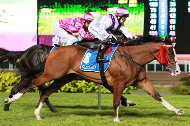 Genius winning the INGLIS MELBOURNE JUVENILE STAKES OPEN