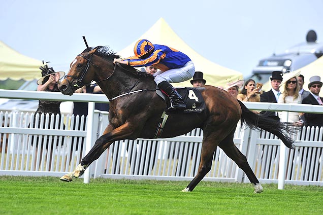 Gleneagles winning the St James's Palace Stakes (British Champions Series) (Group 1) (Rnd)