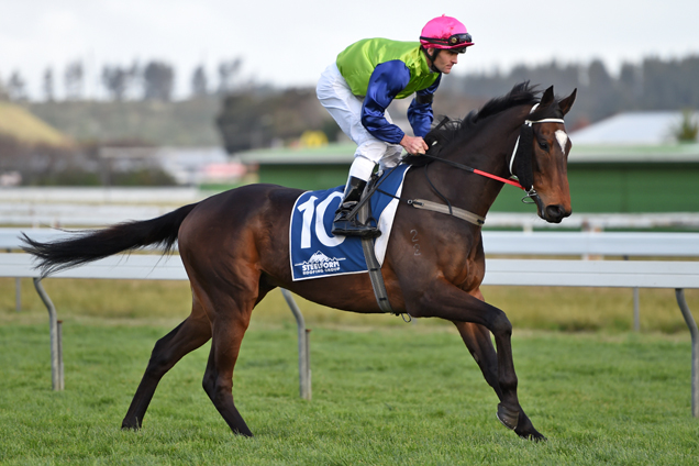 Gobstopper running in the Wanganui Guineas
