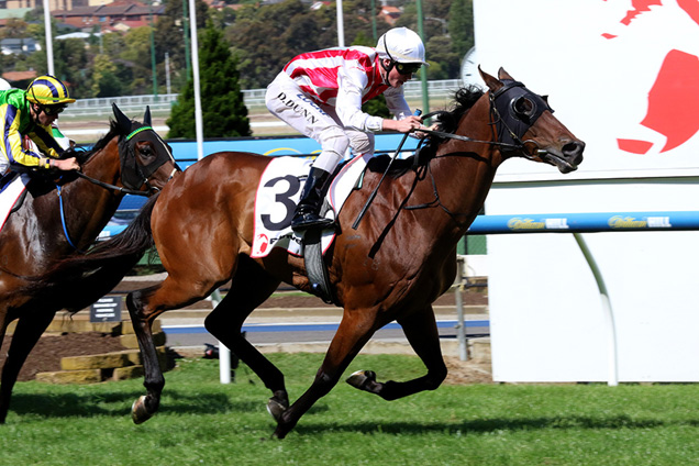 Golden Mane is value at Caulfield