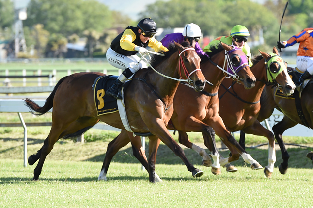 Goodsav winning the Stocknz Livestock Agents-Bm65