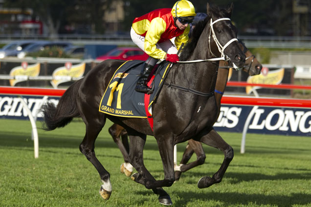 Grand Marshal will aim to defend his crown in the 2016 Sydney Cup.