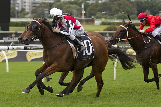 Gypsy Diamond winning the Japan Racing Association Plate