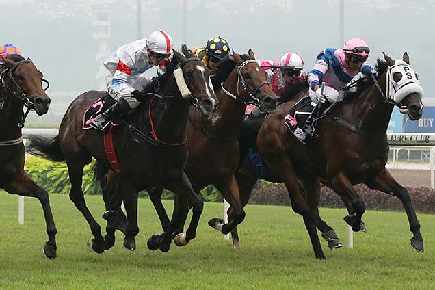 Hades(on the outside, with winkers) winning the CLASS 4