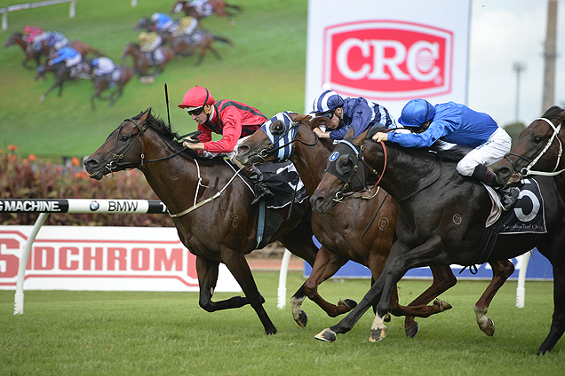 Hallowed Crown winning the Blackwoods Crc Hobartville