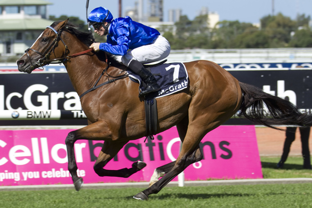 Hartnell winning the McGrath Sky High Stakes