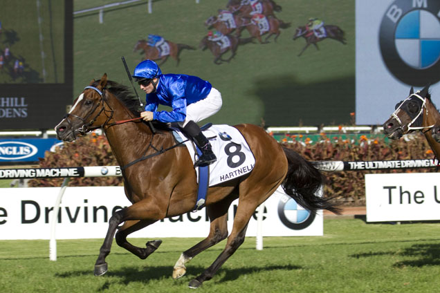 Hartnell finished strongly to win a barrier trial at Randwick on Thursday.