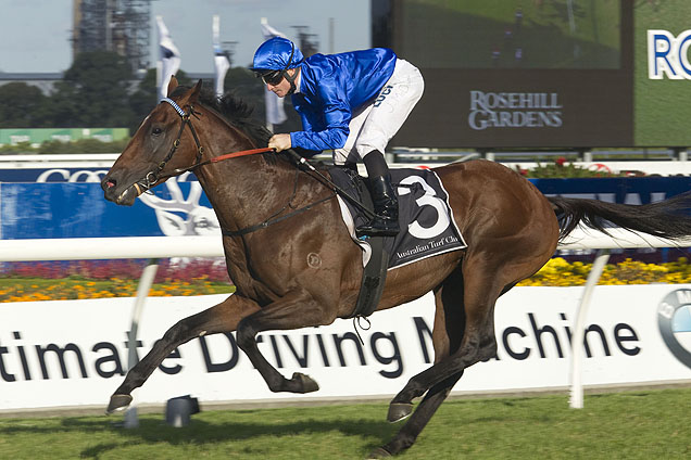 Hauraki winning the Tulloch Stakes