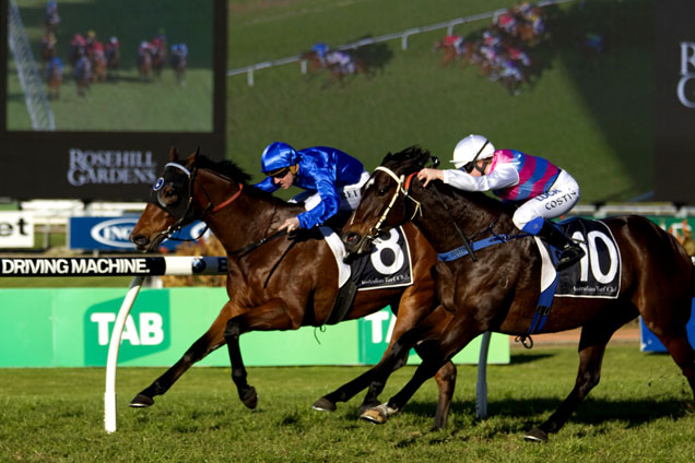 Haussmann winning the Civic Stakes