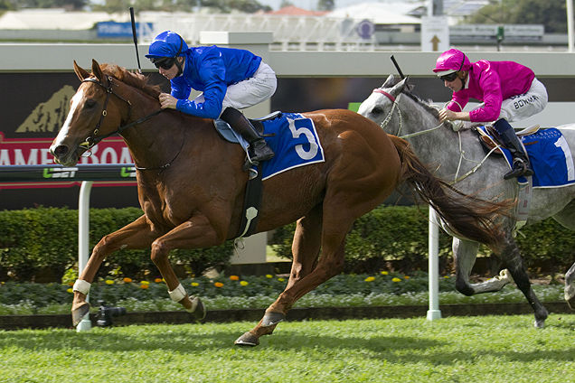 Hazard winning the Best Security Dane Ripper Stks